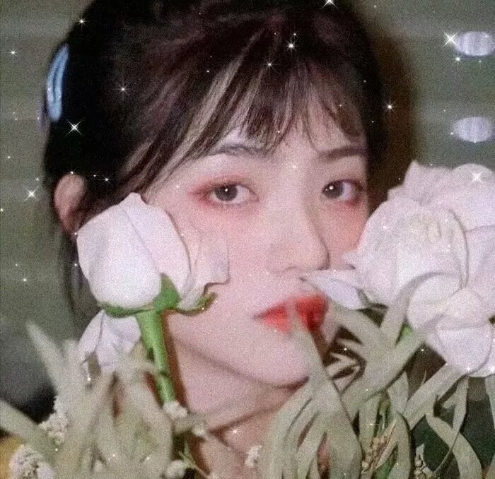 我要怎么感动你