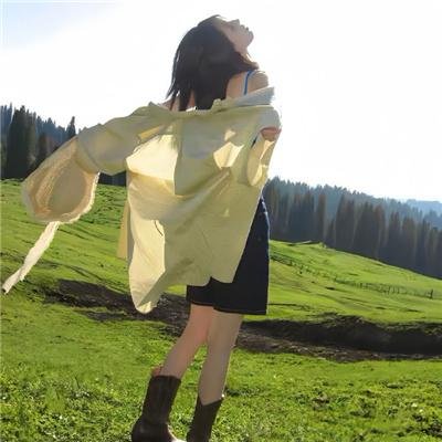 情困外交家
